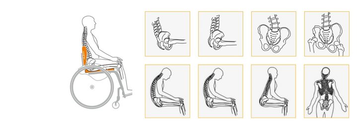 Pelvic & Spinal Postures