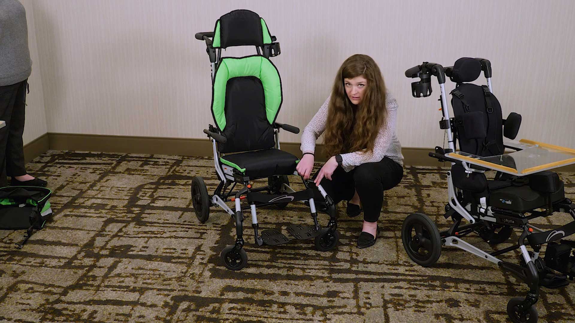 Getting to Know the ZIPPIE Sphynx