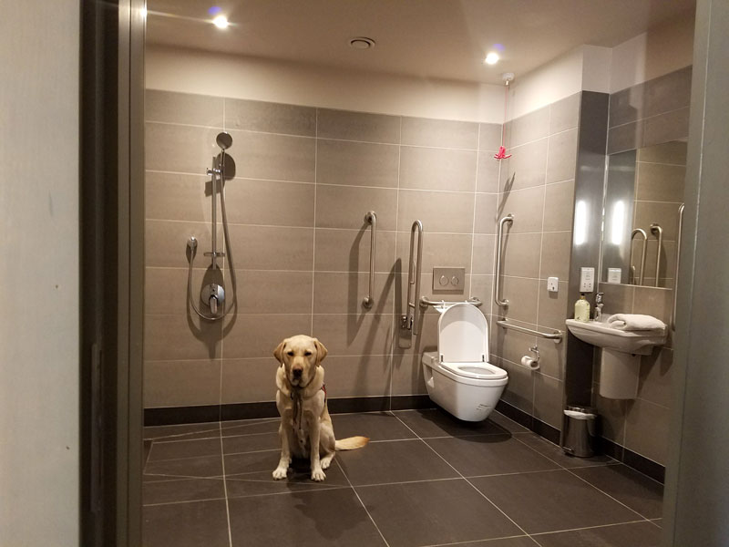 Accessible bathroom at the Neptune Hostel