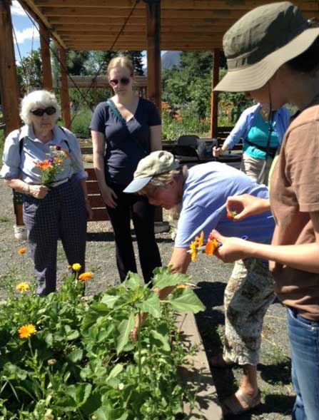 Gardeners working in plant beds