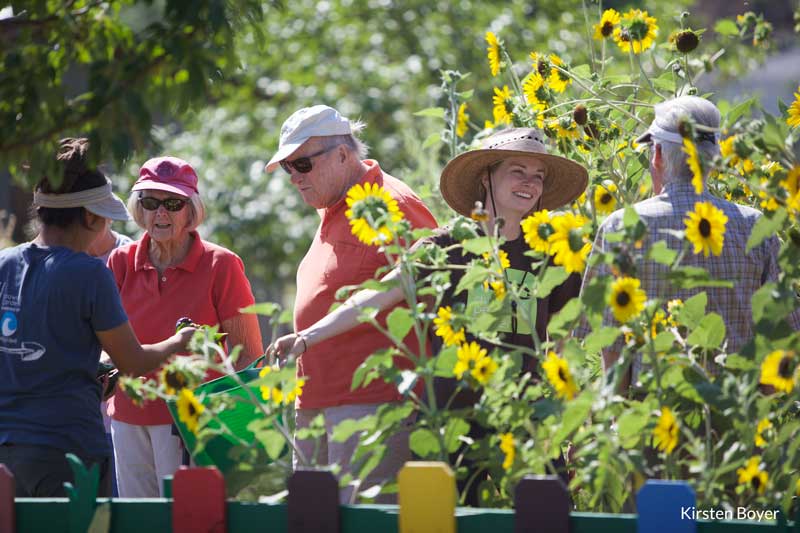 Gardeners talking